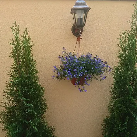 Butas Apartments In The Heart Of Vilnius *
