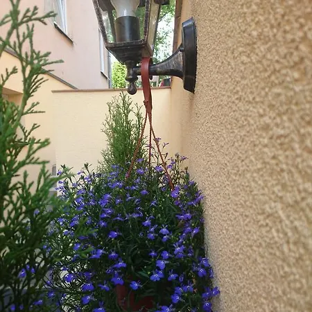 Butas Apartments In The Heart Of Vilnius